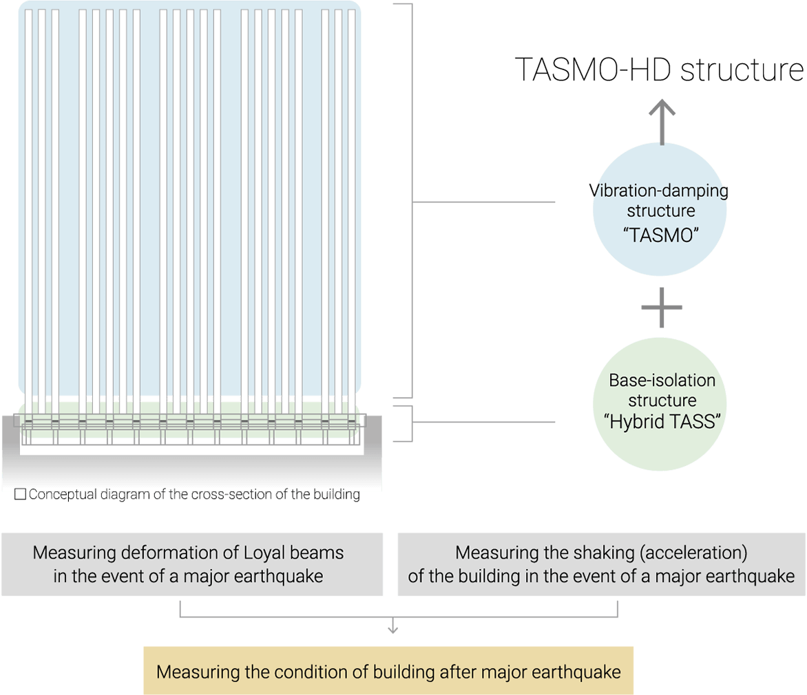 TASMO-HD structure